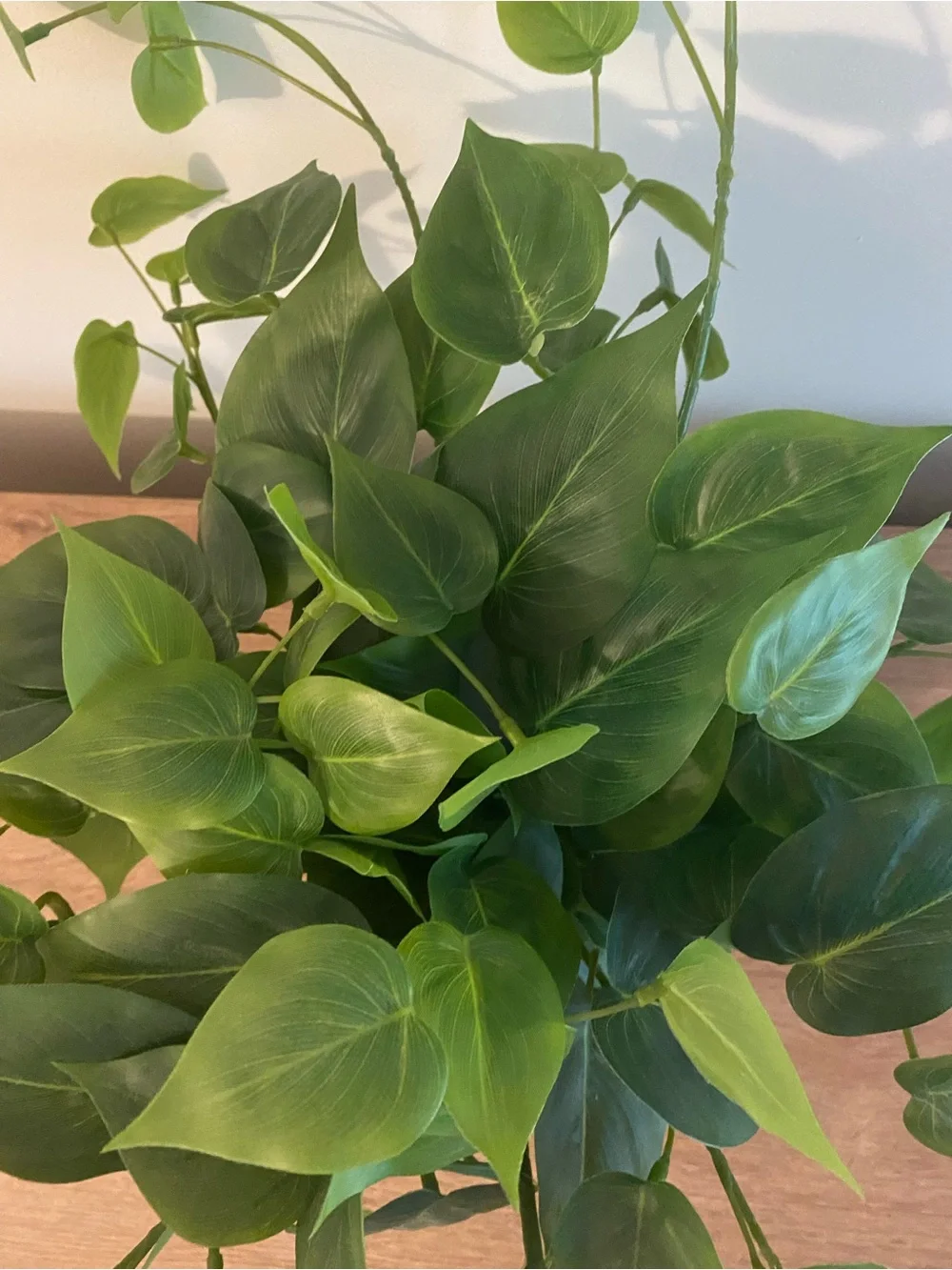Artificial Pothos Plant